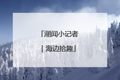 潮闻小记者｜海边拾趣